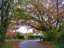 Midgham in the Autumn - geograph.org.uk - 1941.jpg