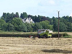 Combine harvester in Over Dinsdale, Yorkshire - geograph-3620424.jpg