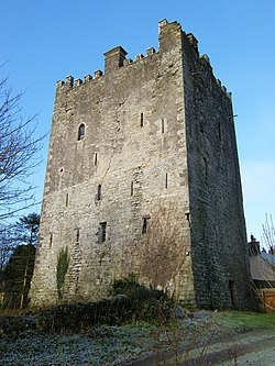 Ballaghmore Castle, County Laois - geograph-2329546.jpg