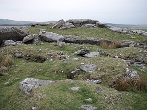 Alex Tor and cairn - geograph.org.uk - 418780.jpg