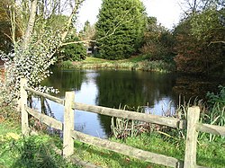 The pond at Cherry Green Farm - geograph.org.uk - 279475.jpg