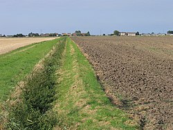 Farmland and drain, Turves, Whittlesey, Cambs - geograph.org.uk - 549566.jpg