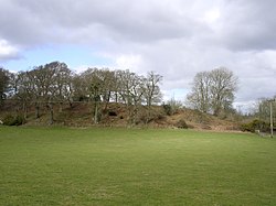 Southern ramparts of Buckland Rings iron-age camp viewed from the south - geograph.org.uk - 24952.jpg