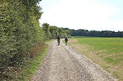 South Downs Way in Temple Valley (geograph 3649879).jpg