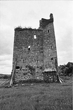 Dysart Castle, Thomastown, Co. Kilkenny - geograph.org.uk - 1106083.jpg