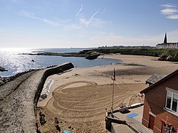 Cullercoats Bay from the North - geograph.org.uk - 521814.jpg