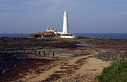 St Mary's lighthouse at Whitley Bay - geograph.org.uk - 1259894.jpg