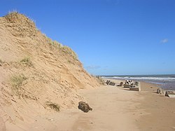 Sand dunes on Balmedie Beach.jpg