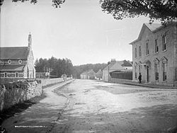 Ballyhooly, Co. Cork, late 19th century (7406536002).jpg