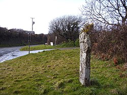Cornish Cross at Fenterleigh - geograph.org.uk - 741981.jpg