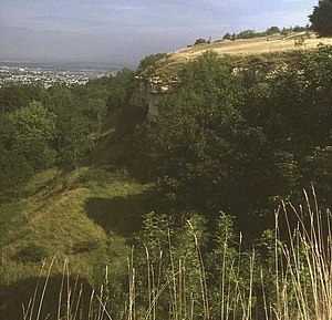 Cliff at Leckhampton Hill - geograph.org.uk - 1191524.jpg
