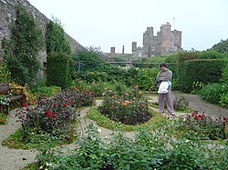 Rose Garden of the Castle of Mey - geograph.org.uk - 259305.jpg