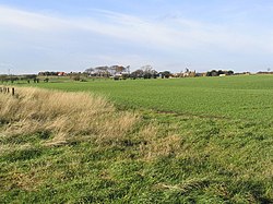 A field at Shoreswood - geograph.org.uk - 281495.jpg