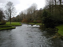 The River Test at Lower Brook - geograph.org.uk - 306867.jpg
