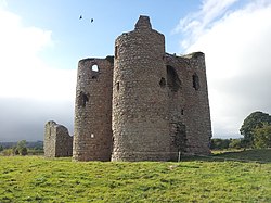 02. Ballyloughan Castle, Co. Carlow.jpg