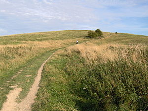 Looking up the Ridgeway towards Barbury Castle - geograph.org.uk - 239597.jpg