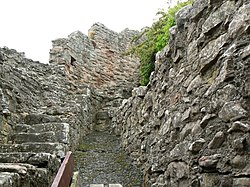 Berwick castle walls - geograph.org.uk - 1379713.jpg
