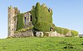 Ballycarbery Castle