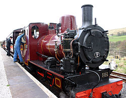 Narrow gauge Polish engine at new home on South Tyndale Railway.jpg