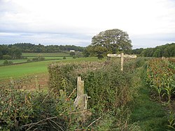 Chasemore Farm and the M25 - geograph.org.uk - 69028.jpg