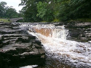 Stainforth Force, upper fall - geograph.org.uk - 1452114.jpg