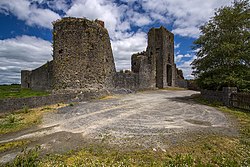 Castles of Munster, Liscarroll, Cork - geograph.org.uk - 1392828.jpg