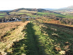 Course of the Antonine Wall at Croy Hill - geograph.org.uk - 308697.jpg