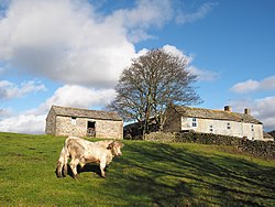 Bull enclosure at East Briscoe, North Riding of Yorkshire - geograph-4232130.jpg