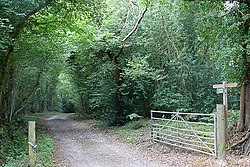 Footpath at Codmore Hill - geograph.org.uk - 2011468.jpg
