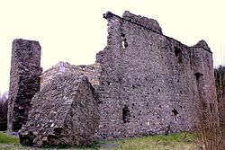 Kindlestown Castle, County Wicklow.JPG