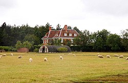 Sheep in a field at Cothill - geograph.org.uk - 1404717.jpg