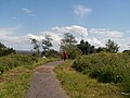 A man and young girl wander through the nature reserve.