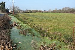 Fields at Southwick, Somerset - geograph-4862661.jpg