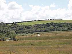 Rosenannon Downs with unfenced road - geograph.org.uk - 221925.jpg