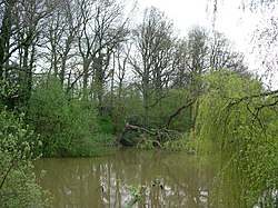 A Pond in Parrock Lane, Upper Hartfield - geograph.org.uk - 161014.jpg