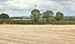 Field by Craigarogan, County Antrim - geograph-5495294.jpg
