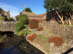 Flowers by The Stream in Hambrook - geograph-4717423.jpg