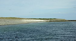 Sandy bay on the South-East corner of Holm of Scockness - geograph.org.uk - 1433555.jpg
