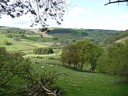 View over part of the Ceiriog Valley - geograph.org.uk - 1864271.jpg