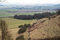 From Bald Hill