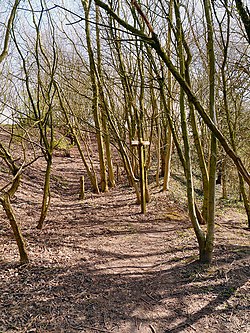 Bollin Valley Way at Watch Hill Castle, Cheshire - geograph-3418070.jpg