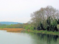 The South West Bank of Weston Turville Reservoir - geograph.org.uk - 1259475.jpg