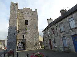 Evening, King John's Castle, Kilmallock, Co. Limerick.JPG
