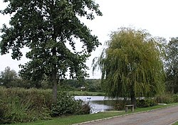 Mill Pond, near Hurst Green - geograph.org.uk - 58791.jpg