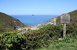 From Trevellas Coombe to the Sea - geograph.org.uk - 179073.jpg