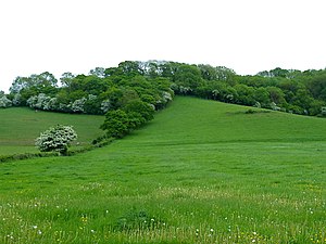 Spaniorum Hill, Gloucestershire - geograph-2399995.jpg