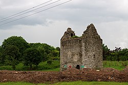 Castles of Munster- Wallingstown, Cork (geograph 3036599).jpg