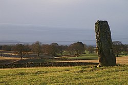 Standing stone at Airlie.jpg