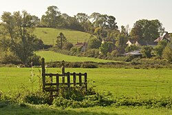 Small Footbridge in a Field, near Bleadney, Somerset (geograph 7311998).jpg