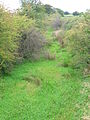 The course of the old 'Hillhead Railway' from Barkip Junction to Broadstone limestone quarry